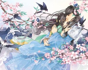 深入了解 水多舒服还是水少舒服